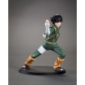 TSUME Art - DXtra -Rock Lee