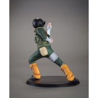 TSUME Art - DXtra -Rock Lee