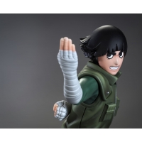 TSUME Art - DXtra -Rock Lee