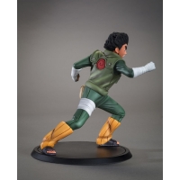 TSUME Art - DXtra -Rock Lee