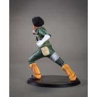 TSUME Art - DXtra -Rock Lee