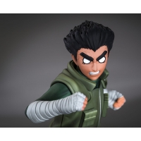 TSUME Art - DXtra -Rock Lee