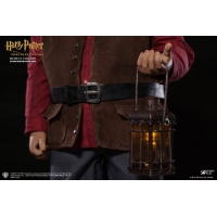 Star Ace Toys - Harry Potter - Rubeus Hagrid Deluxe ver