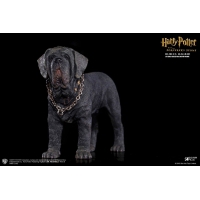 Star Ace Toys - Harry Potter - Rubeus Hagrid Deluxe ver