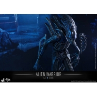 Hot Toys - MMS354 - Aliens - Alien Warrior 