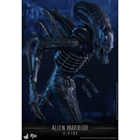 Hot Toys - MMS354 - Aliens - Alien Warrior 