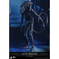 Hot Toys - MMS354 - Aliens - Alien Warrior 