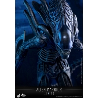 Hot Toys - MMS354 - Aliens - Alien Warrior 