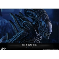 Hot Toys - MMS354 - Aliens - Alien Warrior 