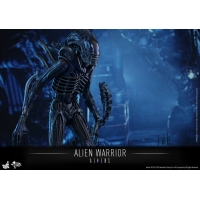 Hot Toys - MMS354 - Aliens - Alien Warrior 