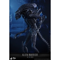 Hot Toys - MMS354 - Aliens - Alien Warrior 