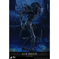 Hot Toys - MMS354 - Aliens - Alien Warrior 