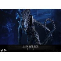 Hot Toys - MMS354 - Aliens - Alien Warrior 