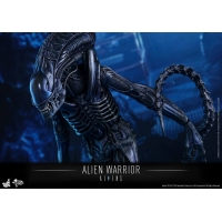 Hot Toys - MMS354 - Aliens - Alien Warrior 