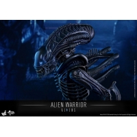 Hot Toys - MMS354 - Aliens - Alien Warrior 