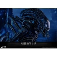 Hot Toys - MMS354 - Aliens - Alien Warrior 