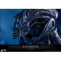 Hot Toys - MMS354 - Aliens - Alien Warrior 