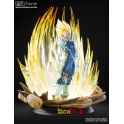  TSUME Art - HQS - Majin Vegeta