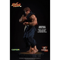 Prototype Z - Street Fighter Classic 1/6th Evil Ryu Statue 