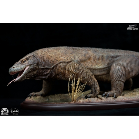 Infinity Studio - Museum series - Komododragon