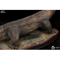 Infinity Studio - Museum series - Komododragon