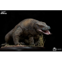 Infinity Studio - Museum series - Komododragon