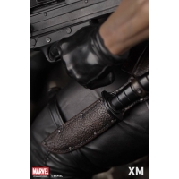 XM Studios - Premium Collectibles - PUNISHER