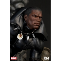 XM Studios - Premium Collectibles - BLACK PANTHER