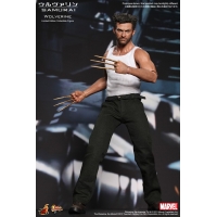 Hot Toys - The Wolverin - Wolverin