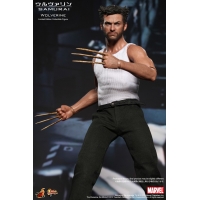 Hot Toys - The Wolverin - Wolverin