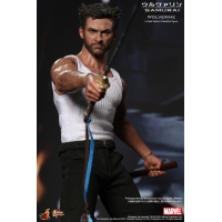 Hot Toys - The Wolverin - Wolverin