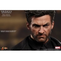 Hot Toys - The Wolverin - Wolverin