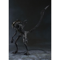 Bandai - S.H.MonsterArts - Alien Warrior