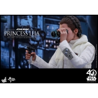 Hot Toys - MMS423 – Star Wars: The Empire Strikes Back - Princess Leia 