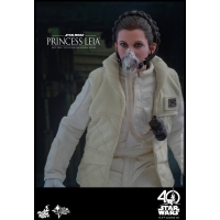 Hot Toys - MMS423 – Star Wars: The Empire Strikes Back - Princess Leia 