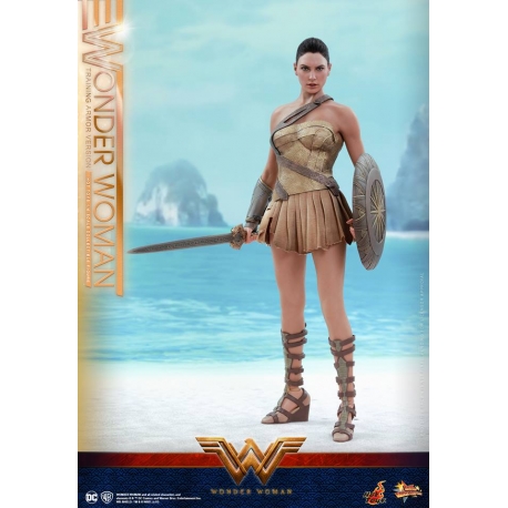 Hot Toys – MMS424 – Wonder Woman –  Wonder Woman (Training Armor Version)