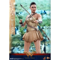 Hot Toys – MMS424 – Wonder Woman –  Wonder Woman (Training Armor Version)