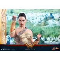 Hot Toys – MMS424 – Wonder Woman –  Wonder Woman (Training Armor Version)