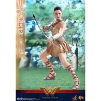 Hot Toys – MMS424 – Wonder Woman –  Wonder Woman (Training Armor Version)