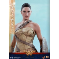 Hot Toys – MMS424 – Wonder Woman –  Wonder Woman (Training Armor Version)