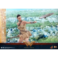 Hot Toys – MMS424 – Wonder Woman –  Wonder Woman (Training Armor Version)