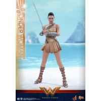 Hot Toys – MMS424 – Wonder Woman –  Wonder Woman (Training Armor Version)