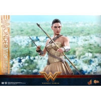 Hot Toys – MMS424 – Wonder Woman –  Wonder Woman (Training Armor Version)