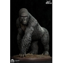 Infinity Studio - Museum series 1/4 Gorilla Beringei