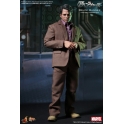 Hot Toys - The Avengers - Bruce Banner