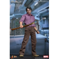 Hot Toys - The Avengers - Bruce Banner