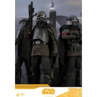 [Pre-Order] Hot Toys - MMS493 - Solo: A Star Wars Story - 1/6th scale Han Solo (Mudtrooper) Collectible Figure 