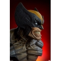 [Pre-Order] SIDESHOW COLLECTIBLES - WOLVERINE LIFE SIZE BUST