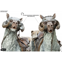 Sideshow - Sixth Scale Figure Related Product - Tauntaun