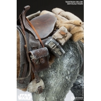 Sideshow - Sixth Scale Figure Related Product - Tauntaun